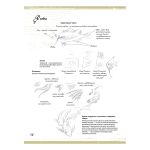 Книга. Создание фантастических существ и животных с помощью акварели, 978-5-00116-798-3 К31065