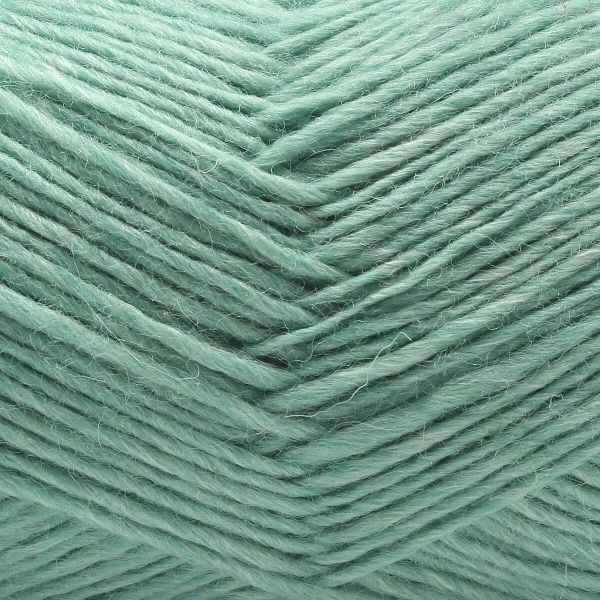 Пряжа Astra Premium (Астра Премиум) Панда (Panda) / уп.2 мот. по 100 г, 240 м, 410 мятный