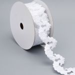 Лента декоративная 45.0 мм / 13.72 метра, белый, 201432