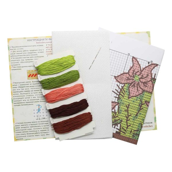 Набор для вышивания нитками Созвездие, Колючий смузи 7х8см