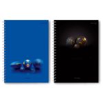 Тетрадь ученическая общая, выборочный УФ лак, A4 96 л. на гребне 65 г/м², белизна 100 %, 4 шт, клетка, 01259 Всем спорт, Светоч Т132