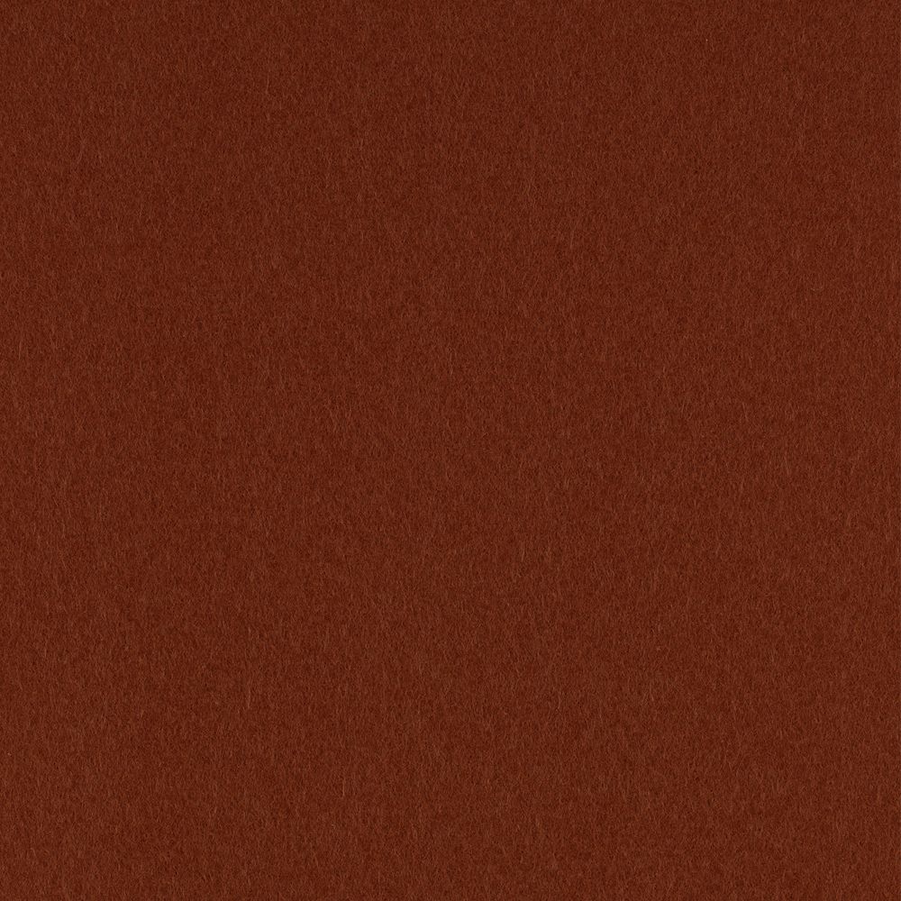 Фетр листовой мягкий 1.0 мм, 33х53 см, RN06 св. коричневый, Gamma FKR10-33/53