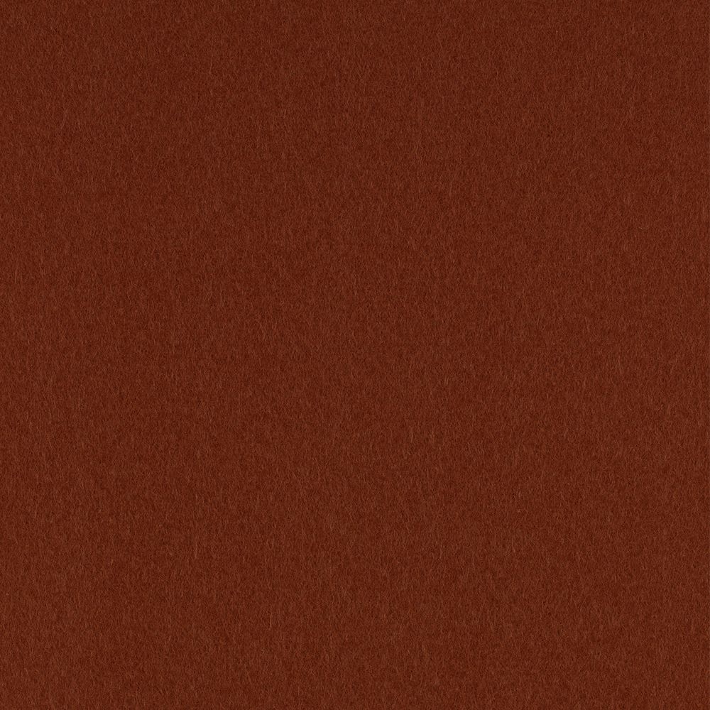 Фетр листовой мягкий 1.0 мм, 33х53 см, RN06 св. коричневый, Gamma FKR10-33/53