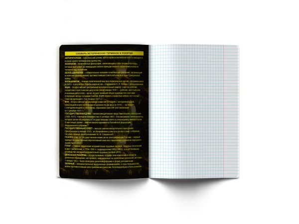 Тетрадь со справочным материалом Эволюция, глянцевая ламинация, A5+ 48 л. на скобе 65 г/м², белизна 100%, 10 шт, клетка, 00880 История, Светоч 48Т5