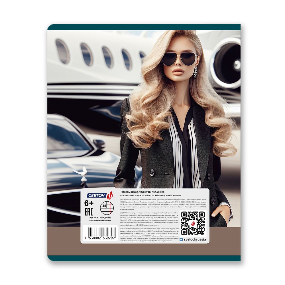 Тетрадь ученическая общая, A5 48 л. на скобе 65 г/м², белизна 100% 10 шт линия, 01535 Загадочный взгляд, Светоч Т206
