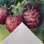 Альбом для смешанных техник Graduate Drawing 160 г/м², A5 склейка с одной стороны 30 л, Canson C400110364