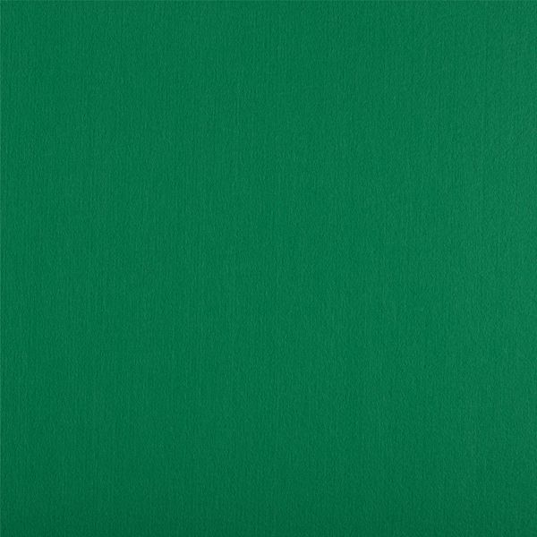 Фетр листовой жесткий 2.0 мм, 33х53 см, RO-25 изумрудный, Gamma FKR20-33/53