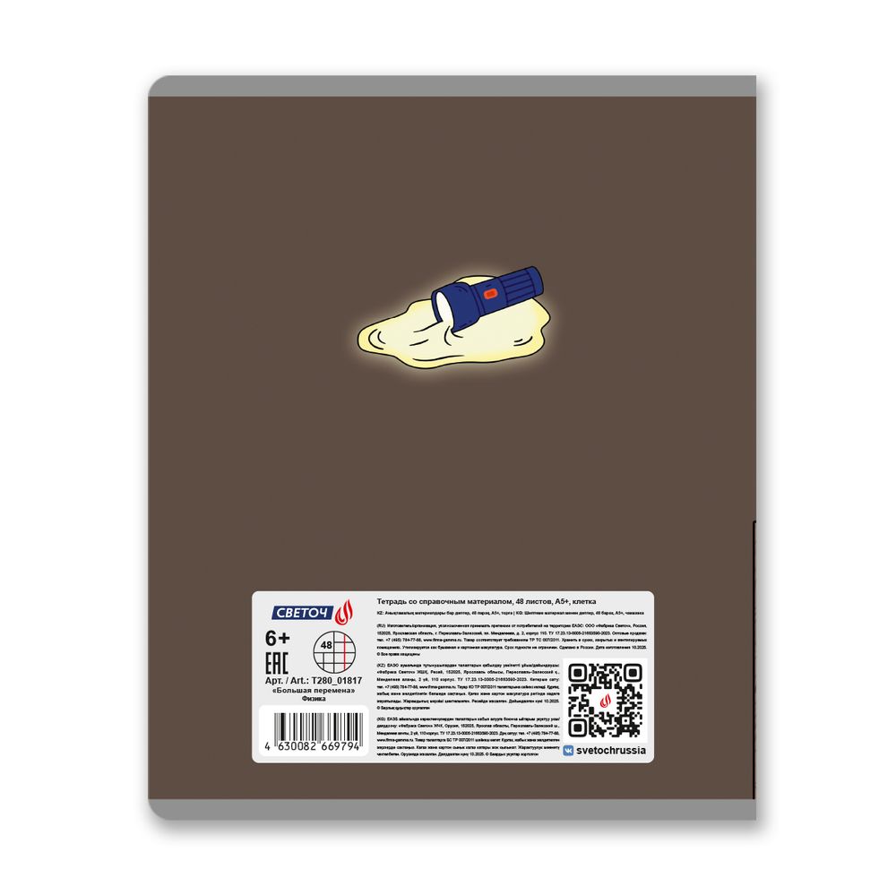 Тетрадь со справочным материалом Большая перемена, выбор.лак, A5 48 л. на скобе 65 г/м², белизна 100% 10 шт клетка, 01817 Большая перемена Физика, Светоч Т280