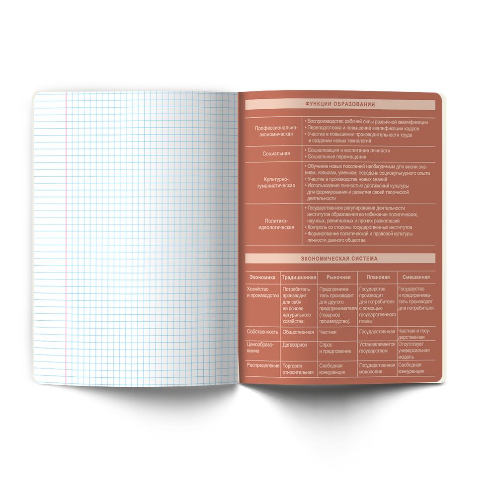 Тетрадь со справочным материалом Лёгким почерком, софт-тач ламинация, A5 48 л. на скобе 65 г/м², белизна 100% 10 шт, клетка, 01844 Лёгким почерком Обществознание, Светоч Т284