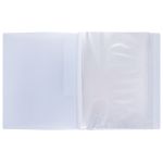 Папка с вкладышами 40 л. A4 600 мкм 20 мм, 1 шт, лёд EC211720074, Expert Complete