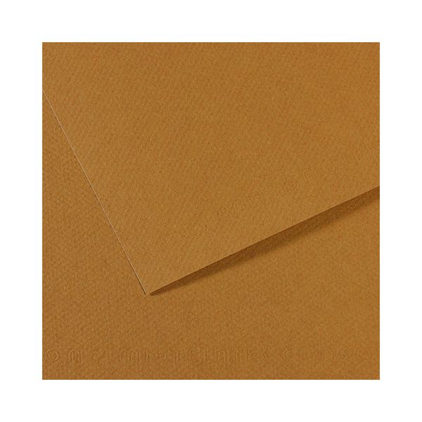 Бумага для пастели 160 г/м², 75х110 см, 25 листов, №336 коричневый песчаный, Canson Mi-Teintes C200321037