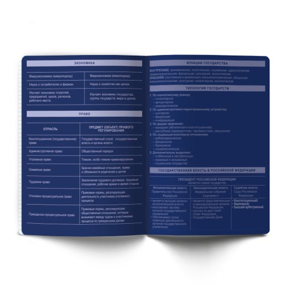 Тетрадь со справочным материалом Золотые главы, тисн.золот.фольгой, A5 48 л. на скобе 65 г/м², белизна 100% 10 шт клетка, 01856 Золотые главы Обществознание, Светоч Т286