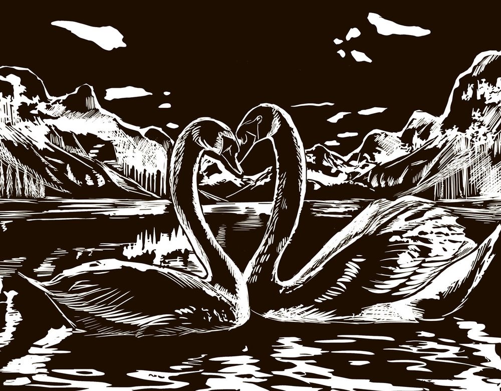 Набор для творчества Гравюра 20х25.5 см, №30 Лебеди (серебро), Hobbius SGHK