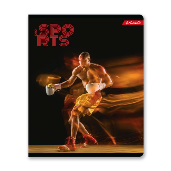 Тетрадь ученическая общая A5+ 48 л. на скобе, белизна 100%, 10 шт, клетка, 000320 Спорт-шик, Светоч 48ТСК5_1_3_1