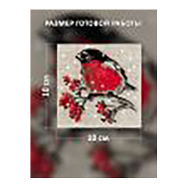 Набор для вышивания нитками Риолис, Зимний гость, 10х10 см