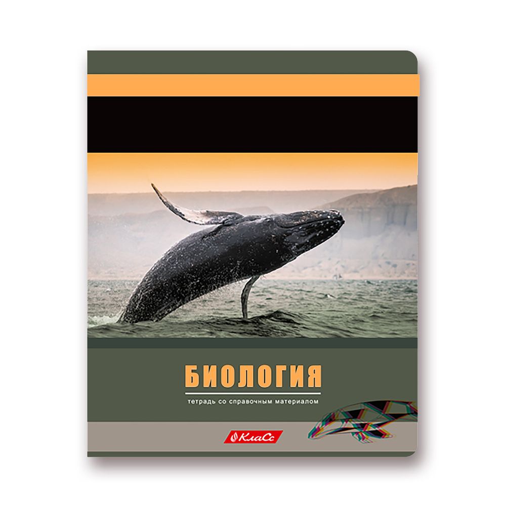 Комплект предметных тетрадей Разные интересы A5+ 48 л. 12 шт, на скобе клетка/линия, Алгебра, Английский, Биология, География, Геометрия, Физика, Химия, История, Русский, Литература, Обществознание, Информатика, Светоч