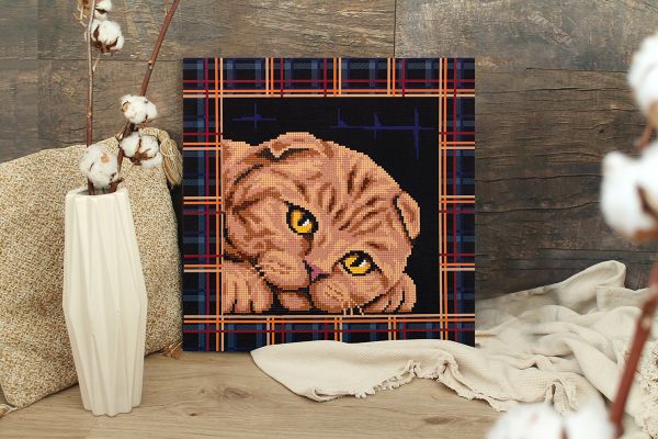 Алмазная (кристальная) мозаика Фрея, постер Шотландская кошка, 30х30 см
