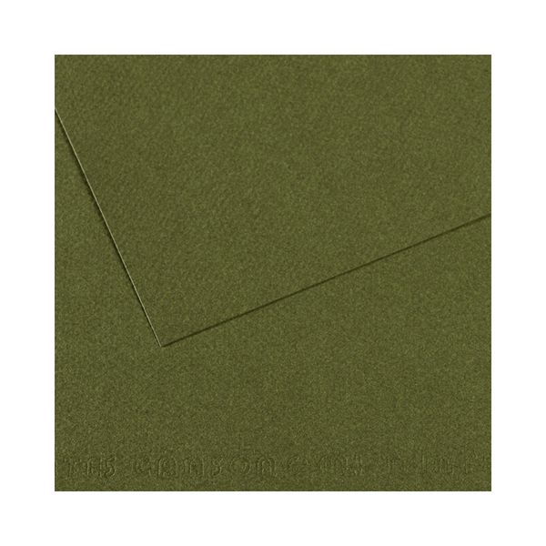 Бумага для пастели 160 г/м², 75х110 см, 25 листов, №448 плющ, Canson Mi-Teintes C200331457