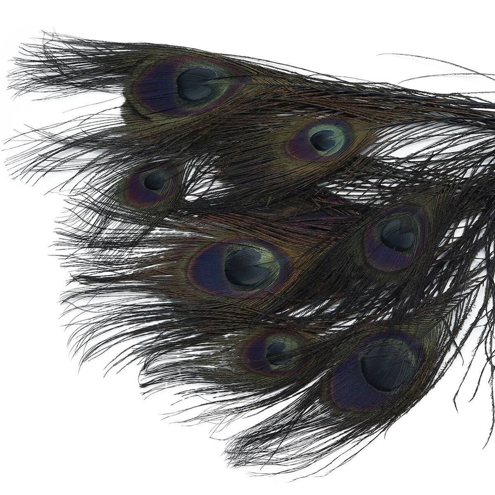 Перо павлина декоративное 25-30см, 10 штук (черный), AR204-2