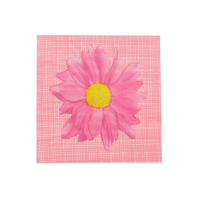 Салфетки 33х33см, 2-х слойные AY, 20 шт/упак (AY-1664)