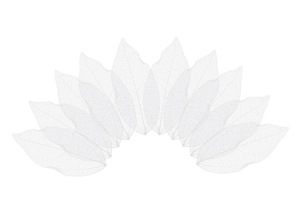 Листья скелетированные 2-6 см, 50 шт (5х10 шт), 01 белый, Mr.Painter SFL-01