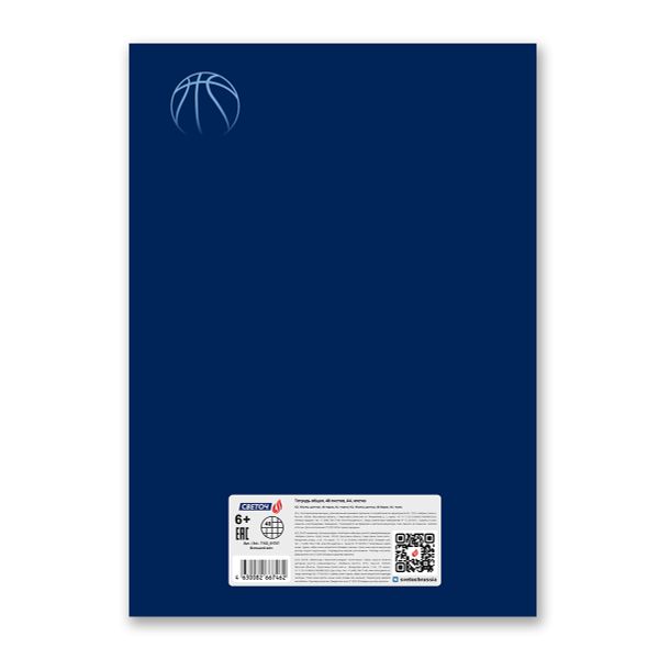 Тетрадь ученическая общая, выборочный лак, A4 48 л. на скобе 65 г/м², белизна 100% 6 шт клетка, 01757 Большой мяч, Светоч Т153