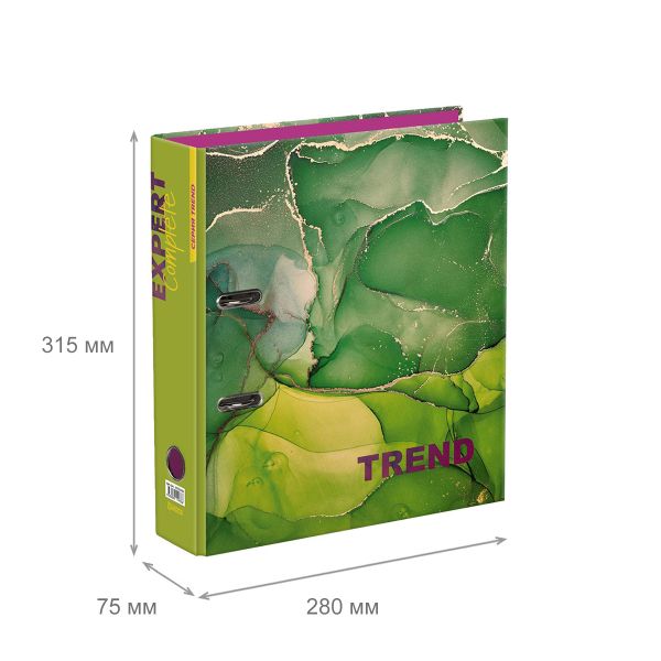 Регистратор ламинированный Marbling 75 мм, 10 шт, Trend A4 арочный механизм, зеленый EC751702, Expert Complete