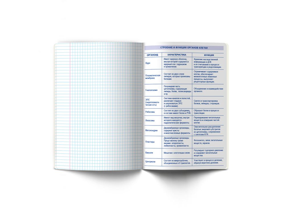 Тетрадь со справочным материалом Линия успеха, софт тач ламинация + тиснение фольгой, A5+ 48 л. на скобе 65 г/м², белизна 100%, 10 шт, клетка, 000572 Биология, Светоч 48ТПСК5_126_2_1