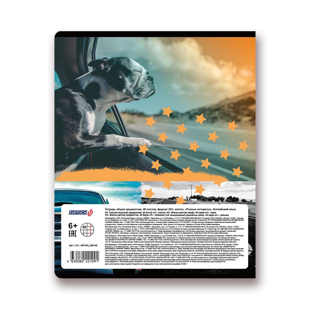Тетрадь предметная Разные интересы A5+ 48 л. на скобе, 10 шт, клетка, Английский язык 48ТСК5 000148, Светоч
