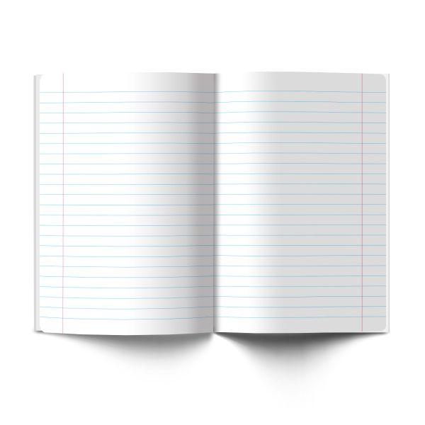 Тетрадь со справочным материалом Без фильтров, A5+ 48 л. на скобе 60 г/м², белизна 90%, 10 шт, линия, 00845 Литература, Светоч 48Т0