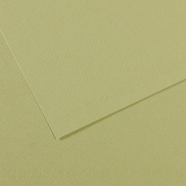 Бумага для пастели Mi-Teintes 160 г/м², 50х65 см, 10 л, №480 Зеленый светлый, Canson, C31032S107