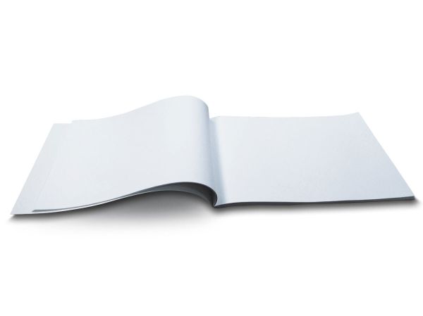 Альбом для рисования 100 г/м², A4 29х20.5 см, 16 л. на скобе, 10 шт, 000695 Ботаника, Светоч 16АЛСК4_1_3_9