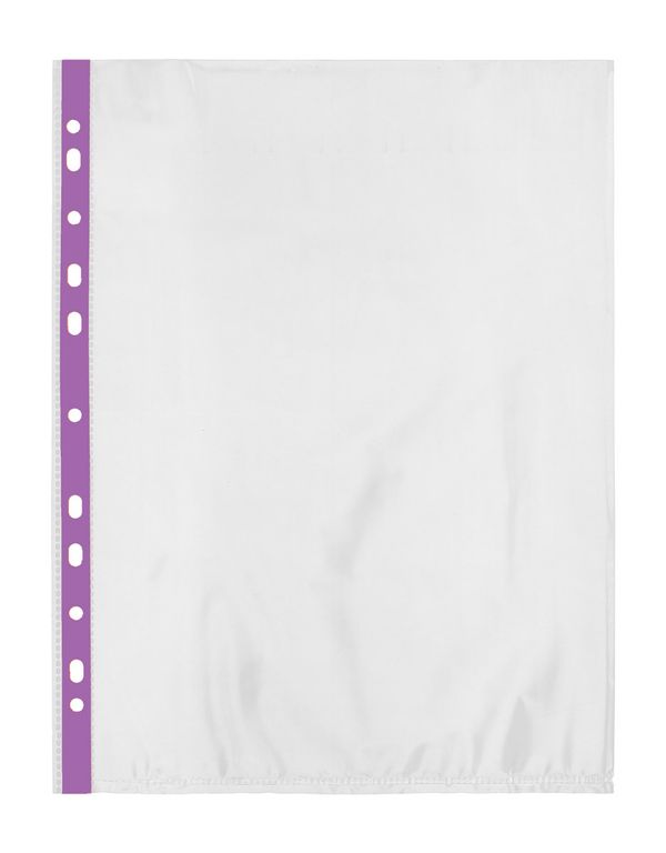 Файл-вкладыш А4 30 мкр. глянц., 20 шт, Premier с цв. полоской, фиолетовый, Expert Complete