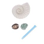 Поделкин Набор для творчества Раскопки, №08 Наутилус, Поделкин