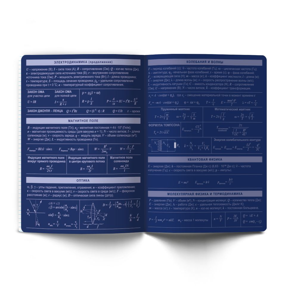 Тетрадь со справочным материалом Золотые главы, тисн.золот.фольгой, A5 48 л. на скобе 65 г/м², белизна 100% 10 шт клетка, 01853 Золотые главы Физика, Светоч Т286