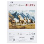 Набор для вышивания нитками Luca-S B704, Дух свободы, 48х32см