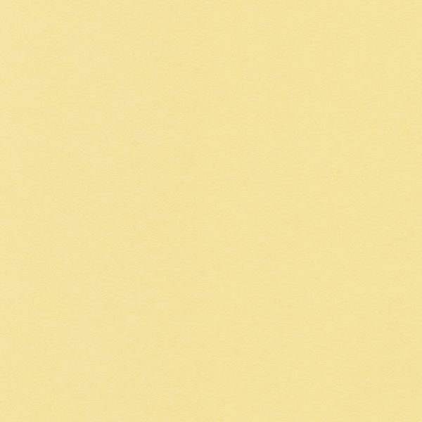 Бумага цветная 120 г/м², A4 21х29.7 см, 50 шт, 02 желтый светлый/yellow light, Vista-Artista