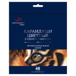Набор цветных карандашей заточенный 4х48 цв, Vista-Artista Gallery VGCP-48