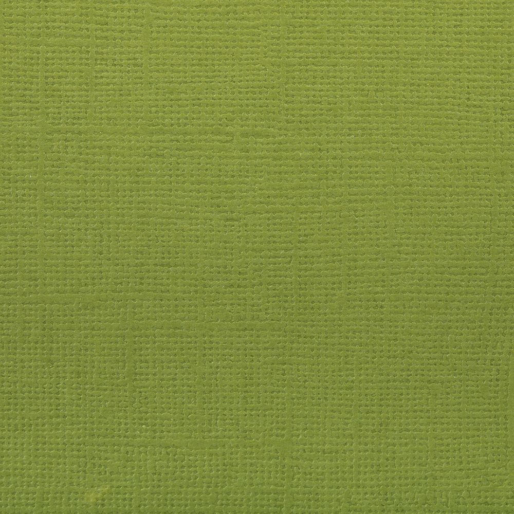 Бумага для скрапбукинга 216 г/м², 30.5х30.5 см, 10 шт, 58 Сочный лайм (ярко-зелёный), Mr.Painter PST