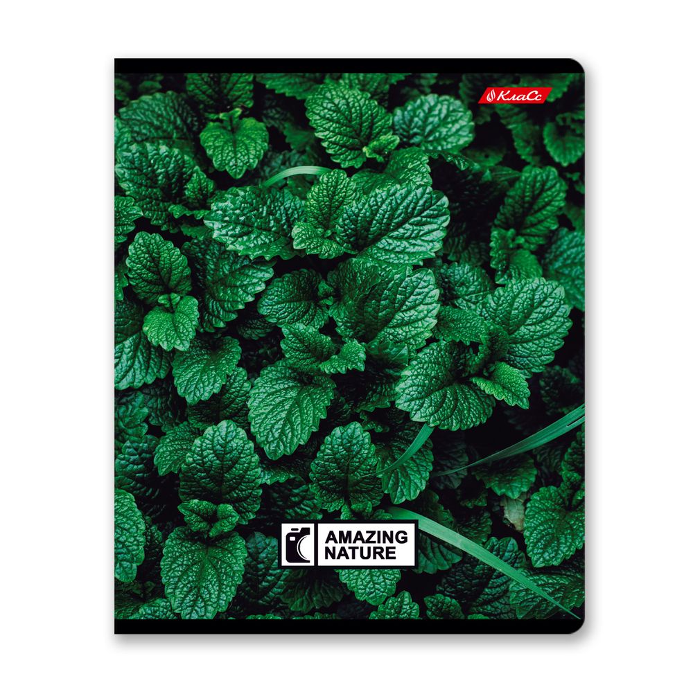 Тетрадь ученическая общая, твин лак, A5+ 60 л. на скобе 65 г/м², белизна 100%, 10 шт, клетка в термоусадочной пленке, 000477 Биосфера, Светоч 60ТСК5_8_2_1