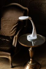 Лупа с подсветкой настольная ⌀10 см (ув.х1.75) + ⌀2.5 см (ув.х4), Ferstel FR-25