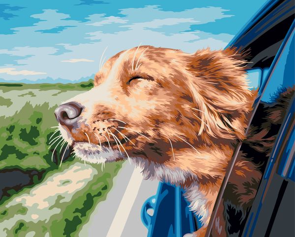 Картина по номерам Фрея PNB/PL-361, Поездка на дачу, 50х40 см