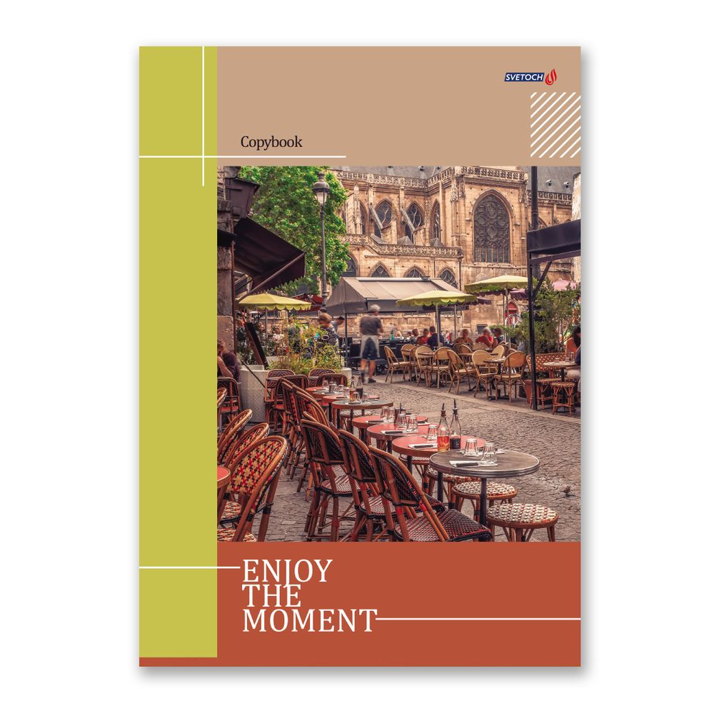 Тетрадь ученическая общая, матовая ламинация, A4 80 л. на скобе 65 г/м², белизна 100%, 6 шт, клетка, 000462 Лови момент, Светоч 80ТСК4_2_2_1