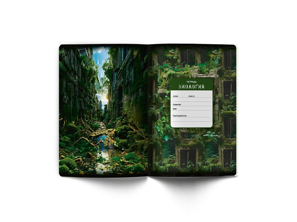 Тетрадь со справочным материалом Эволюция, глянцевая ламинация, A5+ 48 л. на скобе 65 г/м², белизна 100%, 10 шт, клетка, 00877 Биология, Светоч 48Т5