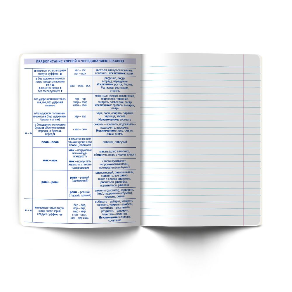 Тетрадь со справочным материалом Большая перемена, выбор.лак, A5 48 л. на скобе 65 г/м², белизна 100% 10 шт линия, 01822 Большая перемена Русский язык, Светоч Т281