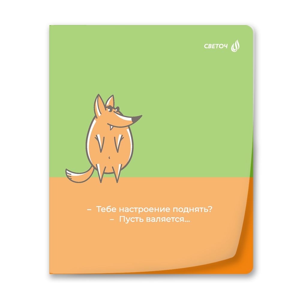 Тетрадь общая с пластик. прозр. обложкой 180 мкм, цвет.запечат.титул лист A5 48 л. на скобе 65 г/м², белизна 100% 10 шт клетка, 01500 Поднимаем настроение, Светоч Т197