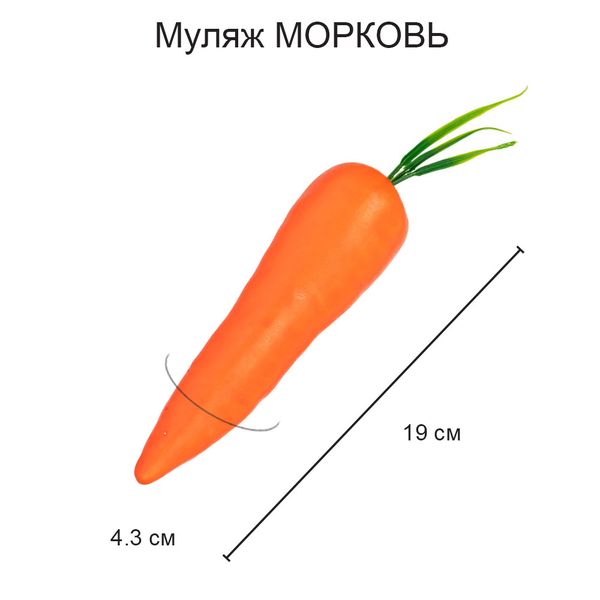 Муляж Морковь, 6 шт, 14х4 см, Blumentag MDL-03-07