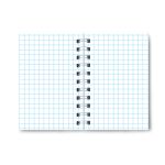 Записная книжка на гребне A6 120 л., 4 шт, клетка, Муркоша 01183, Светоч ЗК110