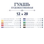 Краска гуашь набор художественный 12 цв. 20 мл, Vista-Artista VAGS-1220