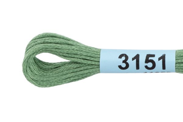 Мулине Gamma 100% хлопок, цв.3151 зеленый, 24 мотка по 8 метров
